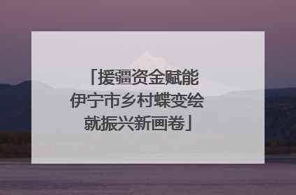 援疆资金赋能 伊宁市乡村蝶变绘就振兴新画卷