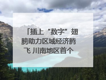 插上“数字”翅膀助力区域经济腾飞 川南地区首个智算中心启动