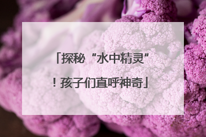 探秘“水中精灵”！孩子们直呼神奇