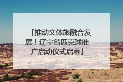 推动文体旅融合发展！辽宁省匹克球推广启动仪式启幕