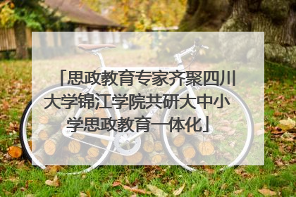 思政教育专家齐聚四川大学锦江学院共研大中小学思政教育一体化