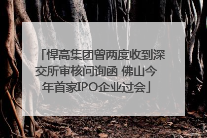 悍高集团曾两度收到深交所审核问询函 佛山今年首家IPO企业过会