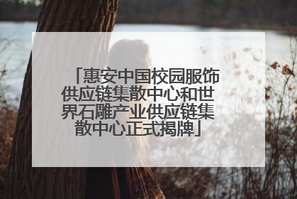 惠安中国校园服饰供应链集散中心和世界石雕产业供应链集散中心正式揭牌
