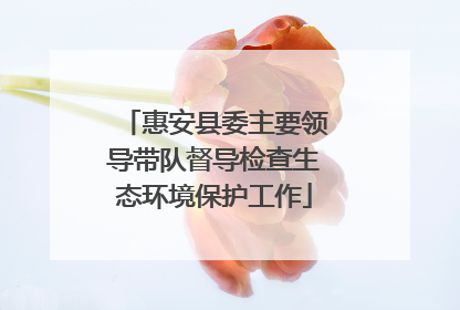 惠安县委主要领导带队督导检查生态环境保护工作