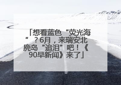 想看蓝色“荧光海”？6月，来瑞安北麂岛“追泪”吧！《90早新闻》来了