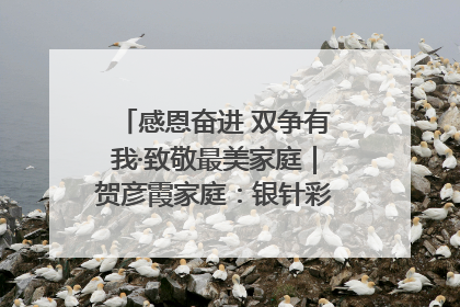 感恩奋进 双争有我·致敬最美家庭｜贺彦霞家庭：银针彩线绣出好日子