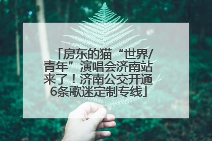 房东的猫“世界/青年”演唱会济南站来了！济南公交开通6条歌迷定制专线