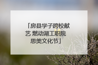 房县学子跨校献艺 燃动湖工职院思美文化节