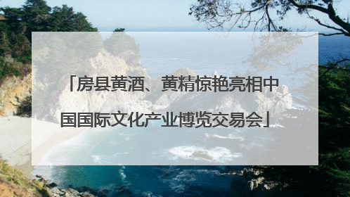 房县黄酒、黄精惊艳亮相中国国际文化产业博览交易会