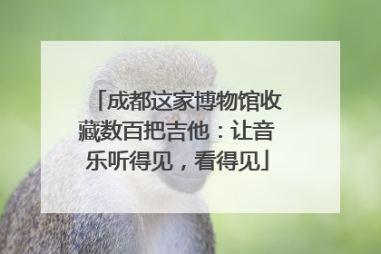 成都这家博物馆收藏数百把吉他：让音乐听得见，看得见