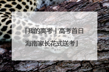 我的高考丨高考首日 海南家长花式送考