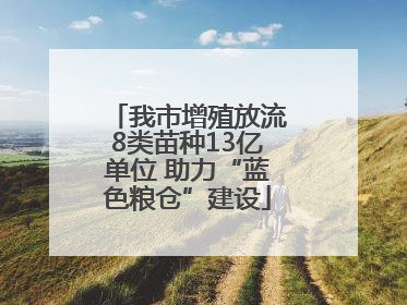 我市增殖放流8类苗种13亿单位 助力“蓝色粮仓”建设