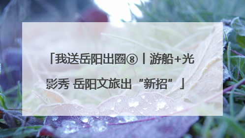 我送岳阳出圈⑧丨游船+光影秀 岳阳文旅出“新招”