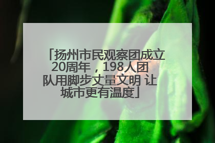 扬州市民观察团成立20周年，198人团队用脚步丈量文明 让城市更有温度