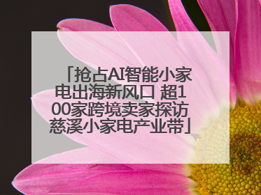 抢占AI智能小家电出海新风口 超100家跨境卖家探访慈溪小家电产业带