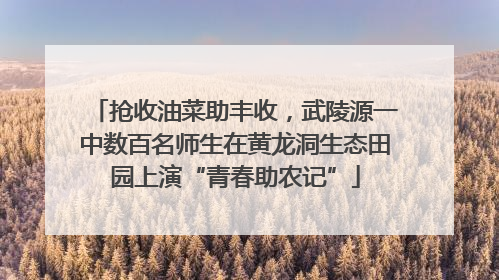 抢收油菜助丰收，武陵源一中数百名师生在黄龙洞生态田园上演“青春助农记”