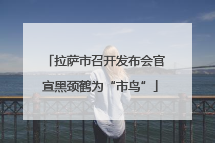 拉萨市召开发布会官宣黑颈鹤为“市鸟”