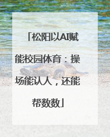 松阳以AI赋能校园体育：操场能认人，还能帮数数