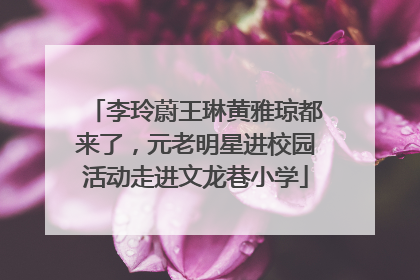李玲蔚王琳黄雅琼都来了，元老明星进校园活动走进文龙巷小学