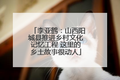 李亚鹤：山西阳城县推进乡村文化记忆工程 这里的乡土故事很动人