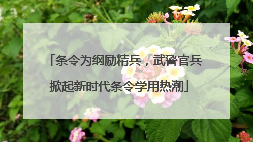 条令为纲励精兵，武警官兵掀起新时代条令学用热潮