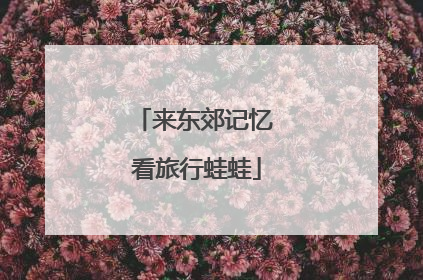来东郊记忆 看旅行蛙蛙
