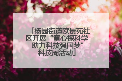 杨园街道欧景苑社区开展“童心探科学 助力科技强国梦”科技周活动