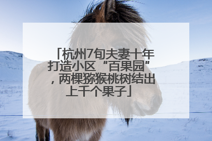 杭州7旬夫妻十年打造小区“百果园”，两棵猕猴桃树结出上千个果子