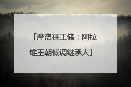 摩洛哥王储：阿拉维王朝低调继承人