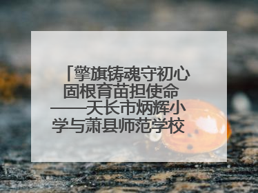 擎旗铸魂守初心 固根育苗担使命——天长市炳辉小学与萧县师范学校附属小学结对共建活动纪实