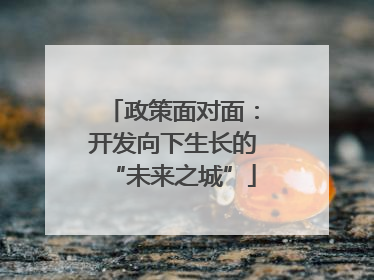 政策面对面：开发向下生长的“未来之城”