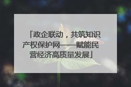 政企联动，共筑知识产权保护网——赋能民营经济高质量发展