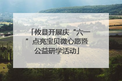 攸县开展庆“六一”点亮宝贝微心愿暨公益研学活动
