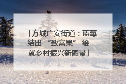 方城广安街道：蓝莓结出 “致富果” 绘就乡村振兴新图景