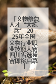 文物修复人才“大练兵” 2025年全国文物行业职业技能大赛四川省选拔赛即将启幕