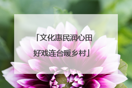 文化惠民润心田 好戏连台暖乡村