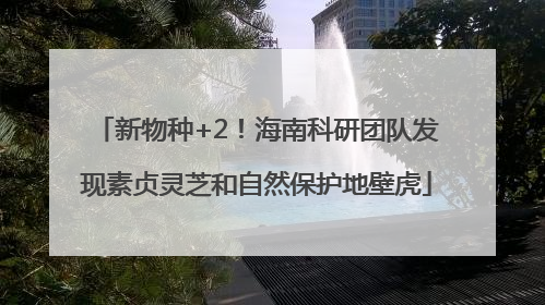 新物种+2！海南科研团队发现素贞灵芝和自然保护地壁虎