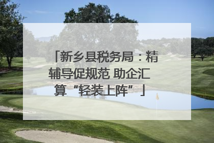 新乡县税务局：精辅导促规范 助企汇算“轻装上阵”