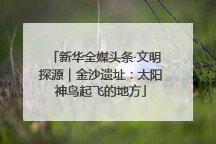 新华全媒头条·文明探源｜金沙遗址：太阳神鸟起飞的地方