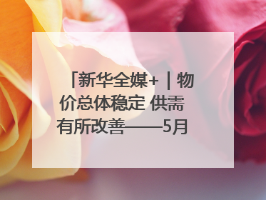 新华全媒+｜物价总体稳定 供需有所改善——5月份物价数据透视
