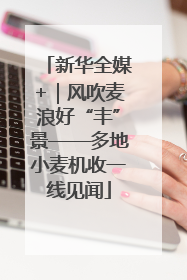新华全媒+｜风吹麦浪好“丰”景——多地小麦机收一线见闻