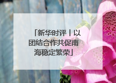新华时评丨以团结合作共促南海稳定繁荣