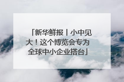 新华鲜报丨小中见大！这个博览会专为全球中小企业搭台