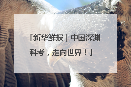 新华鲜报｜中国深渊科考，走向世界！