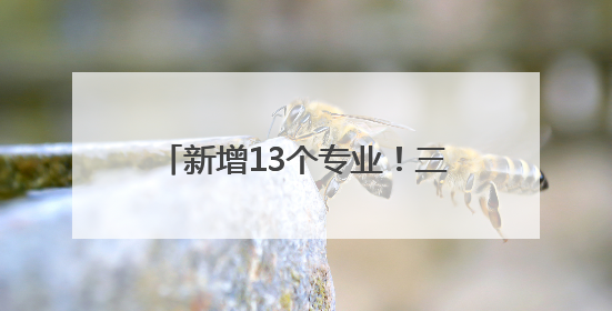 新增13个专业！三所驻堰高校最新公布