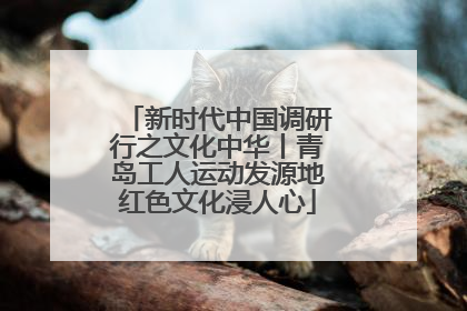 新时代中国调研行之文化中华丨青岛工人运动发源地红色文化浸人心