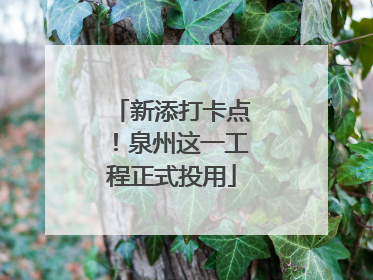 新添打卡点！泉州这一工程正式投用