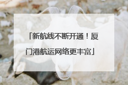 新航线不断开通！厦门港航运网络更丰富