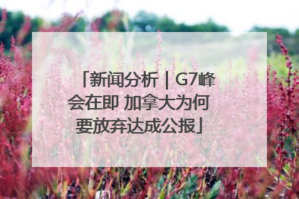 新闻分析｜G7峰会在即 加拿大为何要放弃达成公报