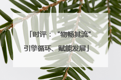 时评：“物畅其流”引擎循环、赋能发展